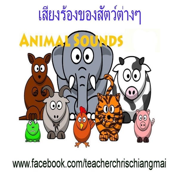 Animal Sounds เสียงสัตว์ | English By Chris