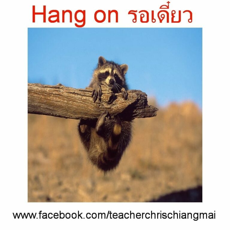 Hang on รอเดี๋ยว